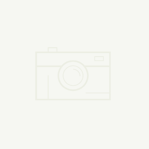 The automatic screw machine market will experience explosive growth in 2026, with intelligence becoming the core trend.